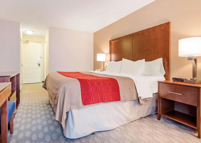 Comfort Inn Fallsview Niagara Falls